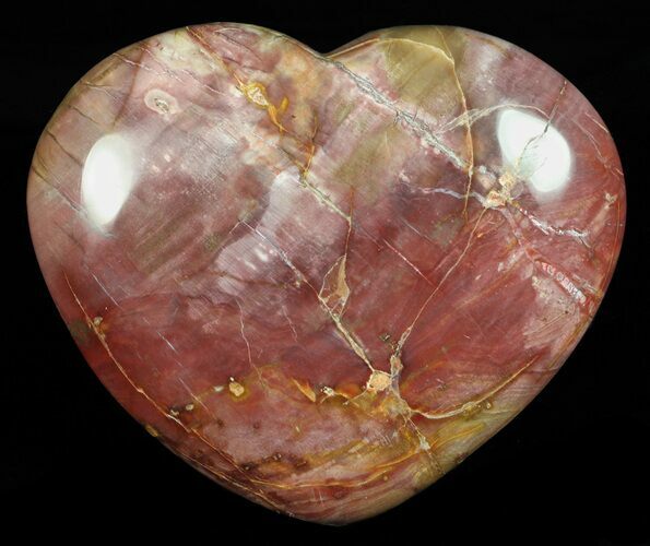 Colorful, Polished Petrified Wood Heart - Triassic #58540